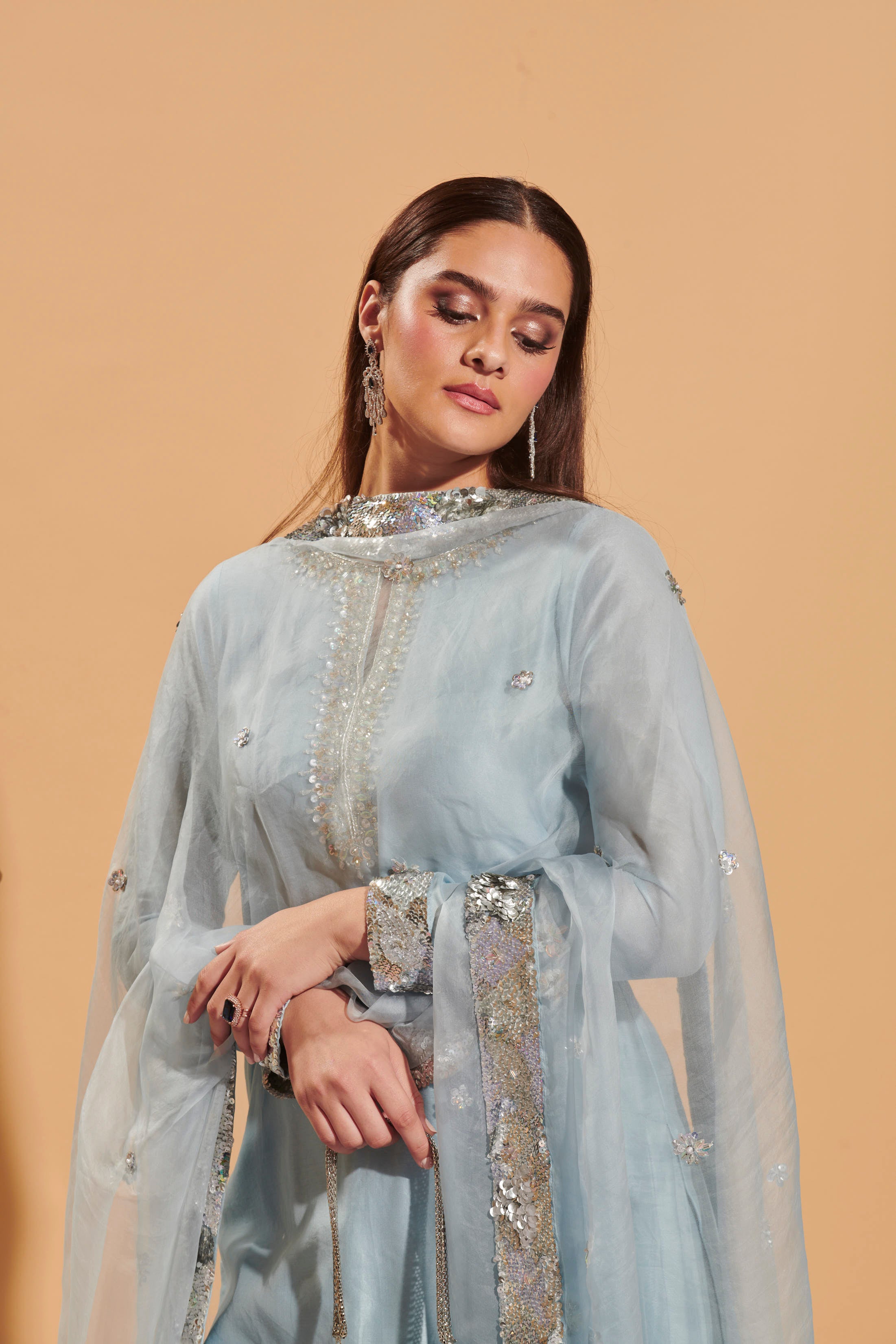 Buy Powder Blue Embroidered Organza Dupatta